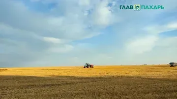 Главу КФХ будут судить за незаконное получение субсидий на 4 миллиона рублей